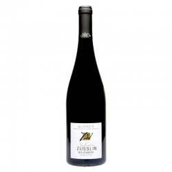 PINOT NOIR Bollenberg 2023