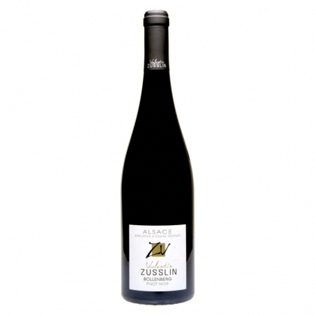 PINOT NOIR Bollenberg 2023