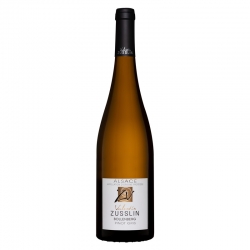 PINOT GRIS Bollenberg 2022 - SEC